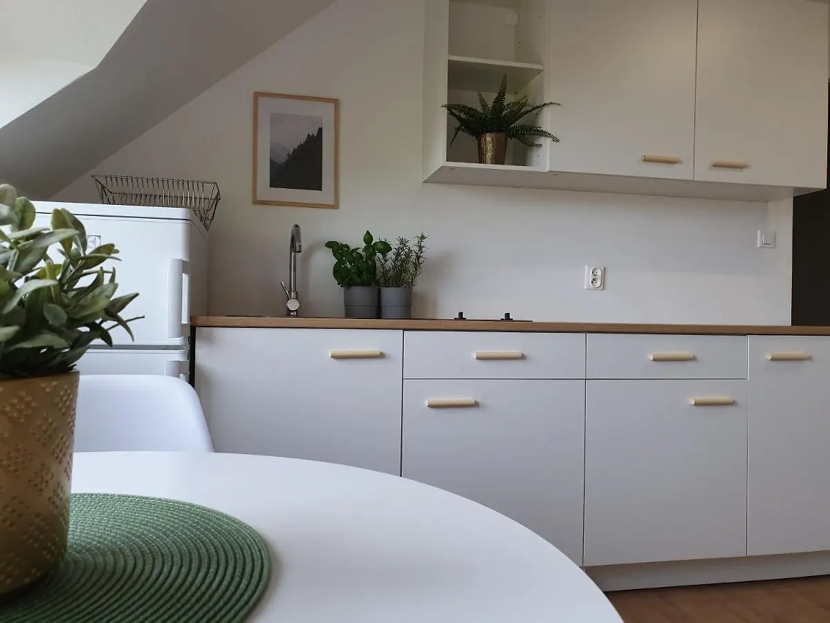 Studio Zubrowa - Gdansk Apartment